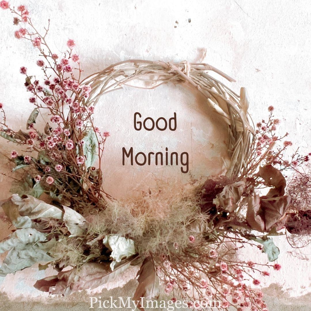 Latest 100+ Good Morning Images Images & Wishes For Download